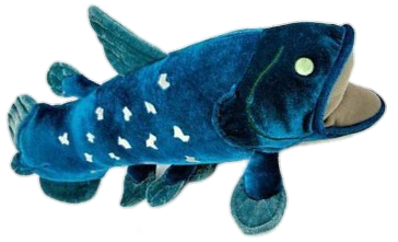 Coelacanth stuffed animal